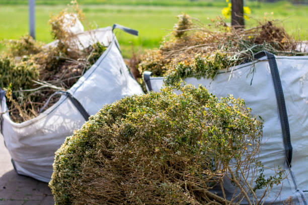 Best Commercial Junk Removal  in Pevely, MO